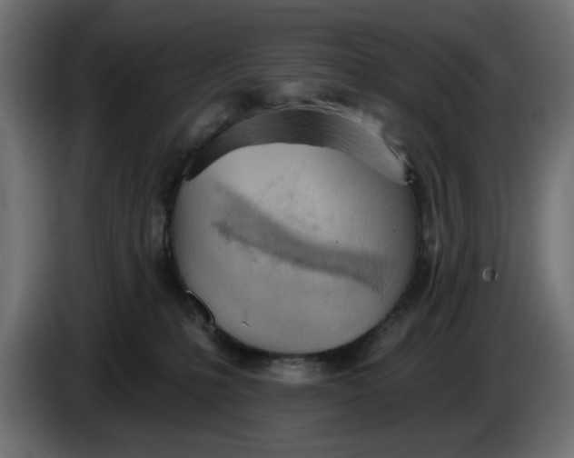 X0000083550231200703021659