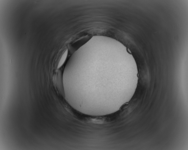 X0000083550232200703021659