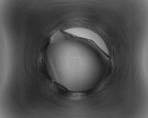 X0000083550233200703021659