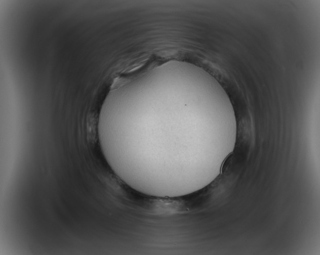X0000083550234200703021659