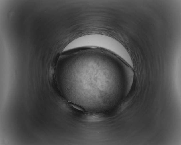 X0000083550235200703021659