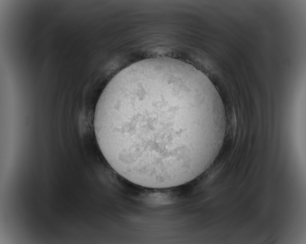 X0000083550236200703021659