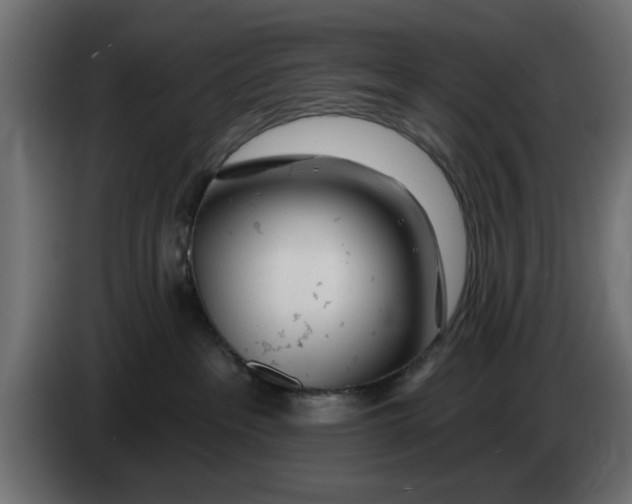 X0000083550237200703021659