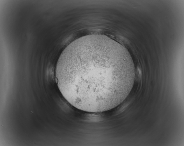 X0000083550238200703021659