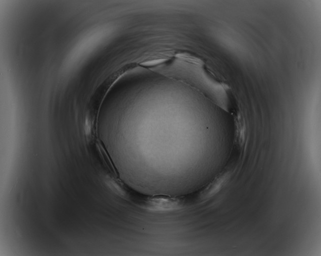 X0000083550239200703021659
