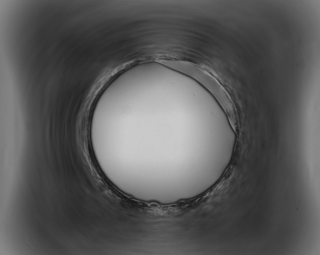 X0000083550241200703021658