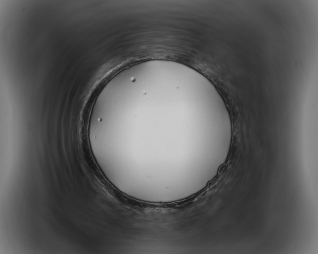 X0000083550242200703021658