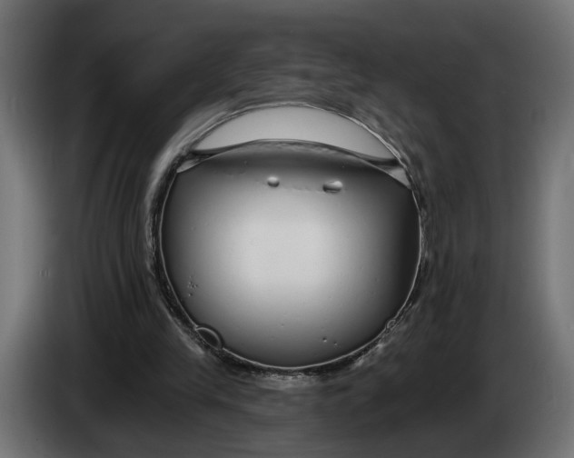 X0000083550245200703021658