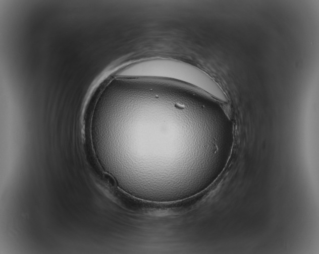 X0000083550246200703021658
