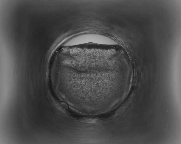 X0000083550247200703021659