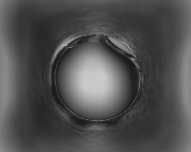 X0000083550248200703021659