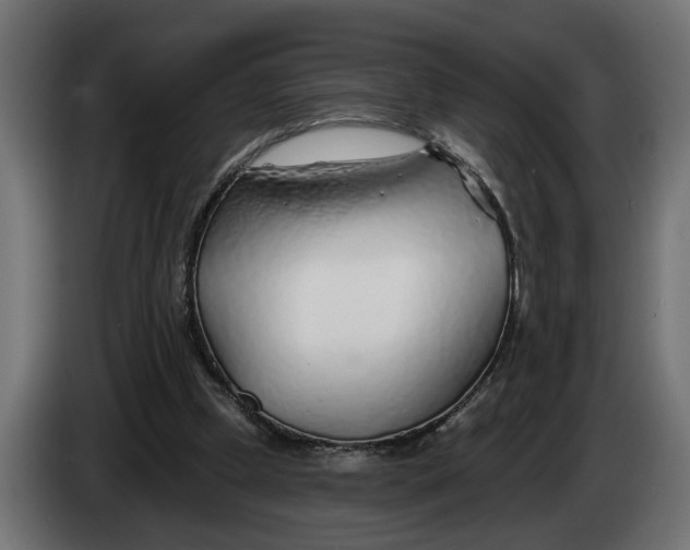 X0000083550249200703021659