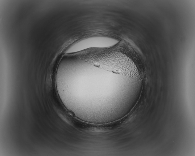 X0000083550250200703021659