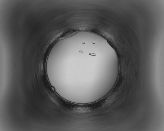 X0000083550251200703021659