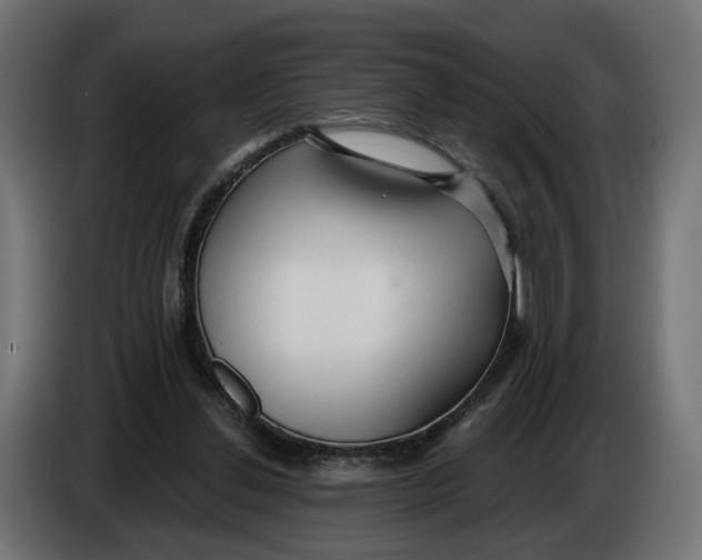 X0000083550252200703021659