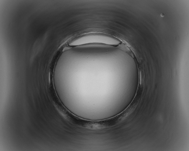 X0000083550253200703021659