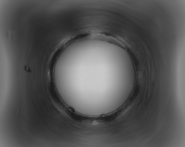 X0000083550254200703021659