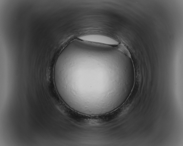 X0000083550255200703021659