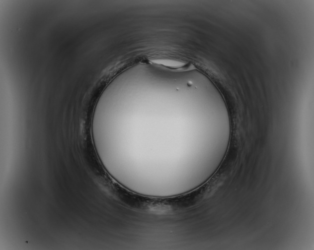X0000083550258200703021659