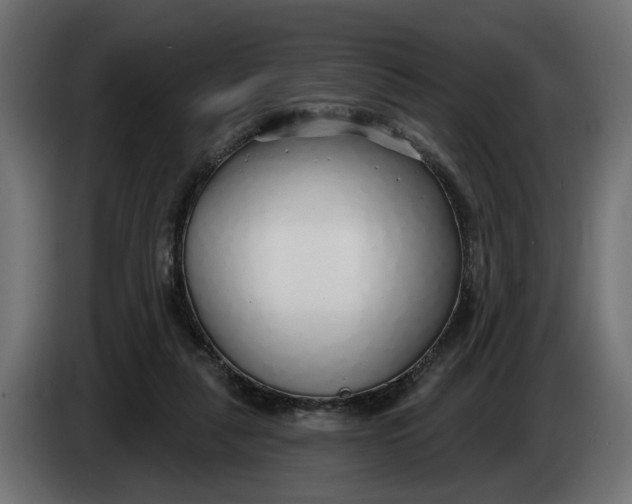 X0000083550259200703021659