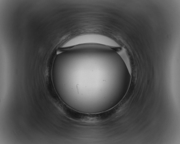 X0000083550260200703021659