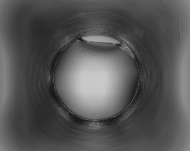 X0000083550261200703021659