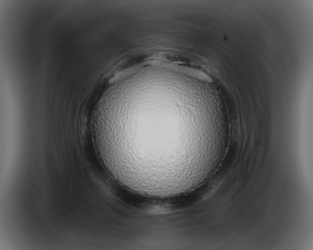 X0000083550263200703021659