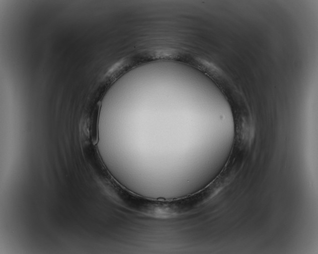 X0000083550264200703021659