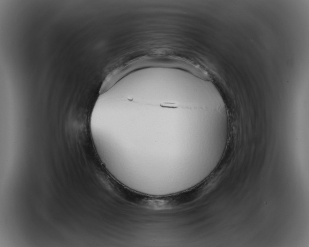 X0000083550265200703021659