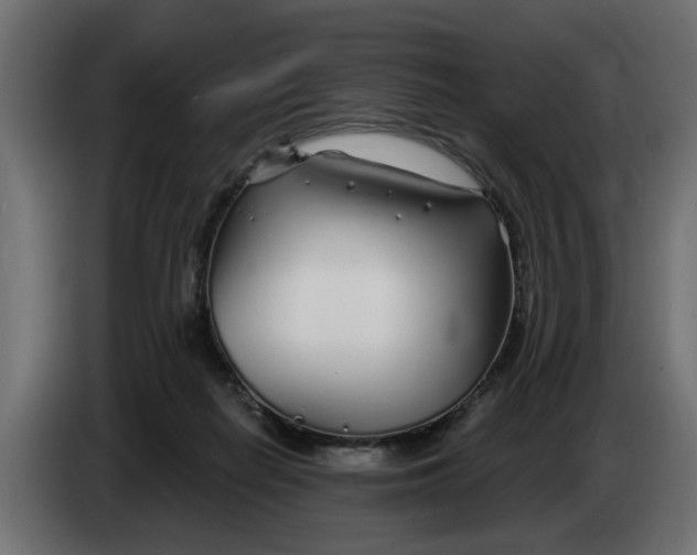X0000083550266200703021659