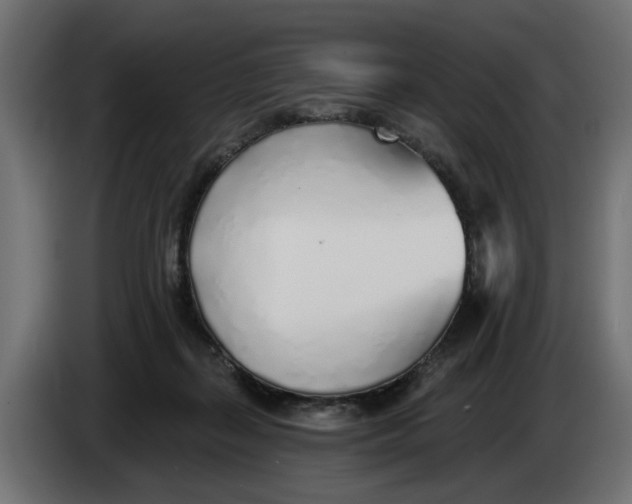 X0000083550267200703021659