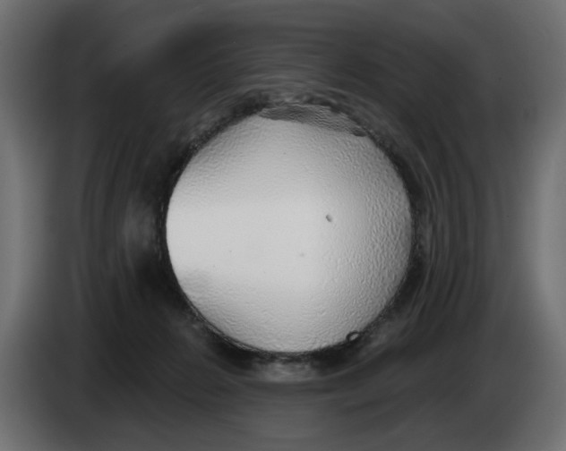 X0000083550270200703021659