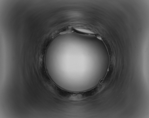 X0000083550271200703021659
