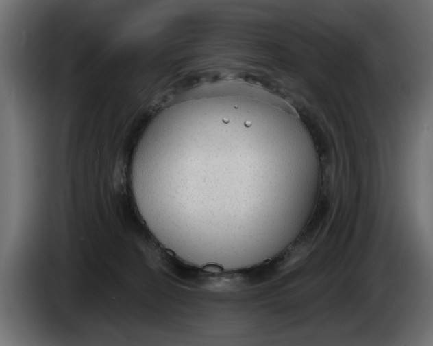 X0000083550274200703021659