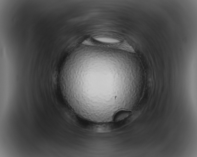 X0000083550275200703021659