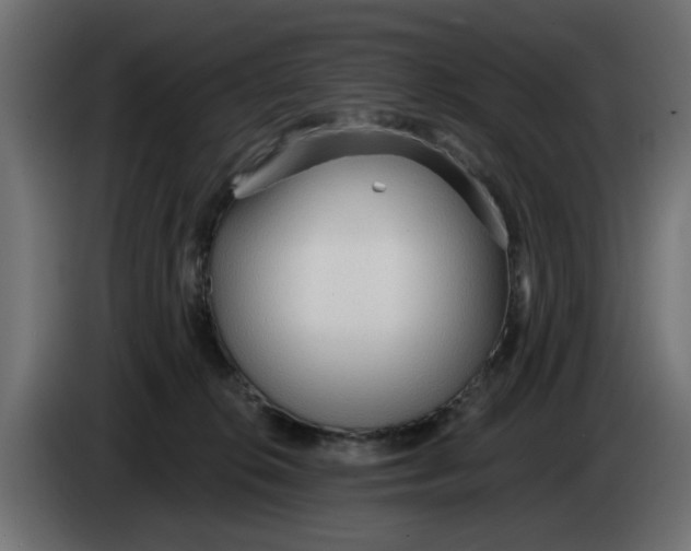 X0000083550276200703021659