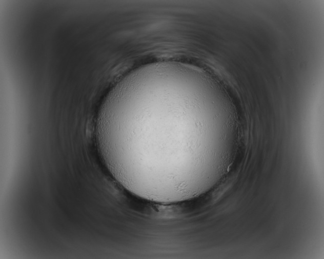 X0000083550277200703021659