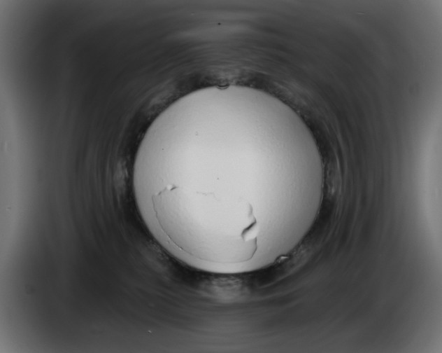 X0000083550279200703021659