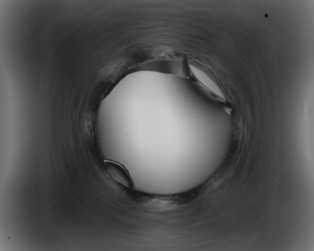 X0000083550280200703021659