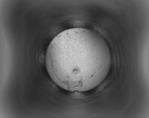 X0000083550281200703021659