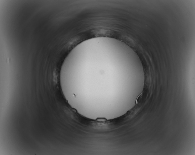 X0000083550282200703021659