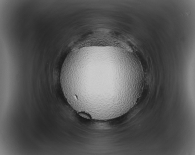X0000083550283200703021659