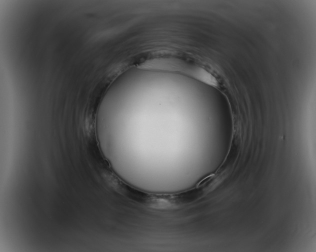 X0000083550285200703021659