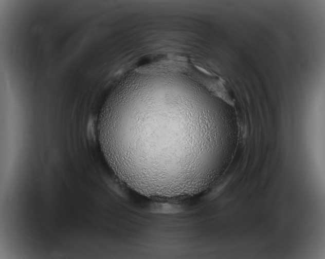 X0000083550286200703021659