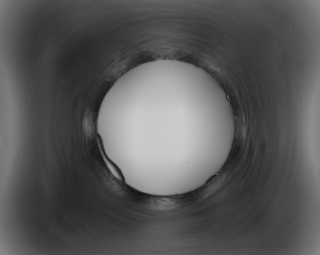 X0000083550287200703021659