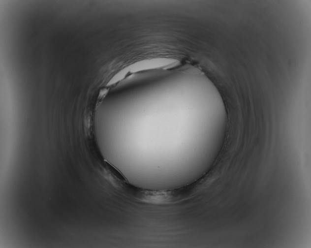 X0000083550288200703021659
