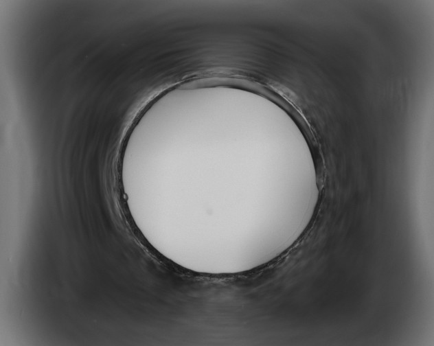 X0000083550289200703021658
