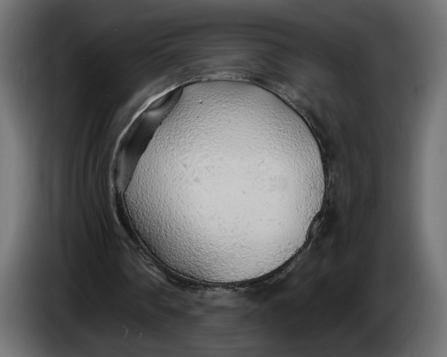 X0000083550290200703021658