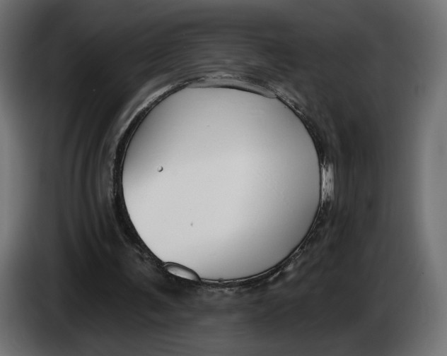 X0000083550291200703021658