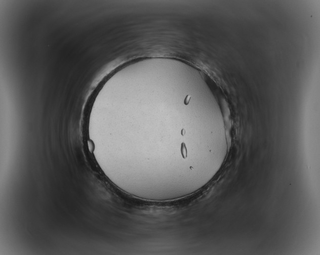 X0000083550292200703021658
